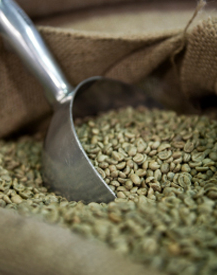 Green Coffee Bean Extract: 100% Pure - Standardized to 50% Chlorogenic